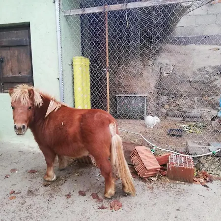 El Castillo De Celia * Cubla