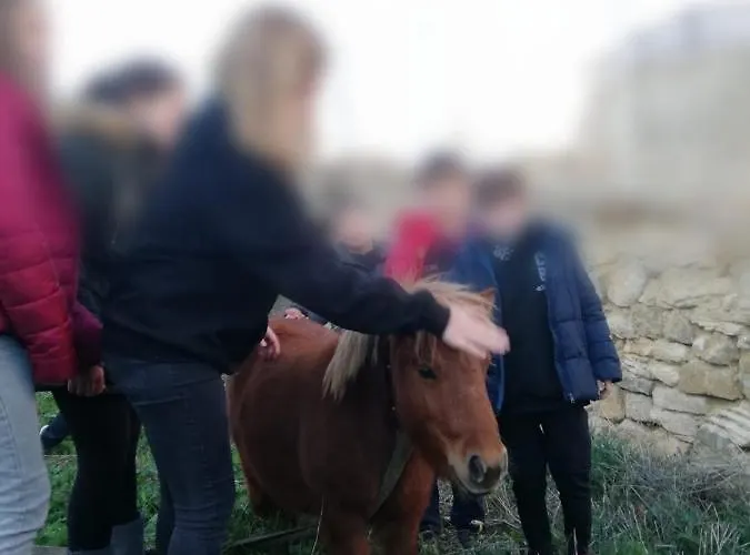 カントリーハウス El Castillo De Celia Cubla