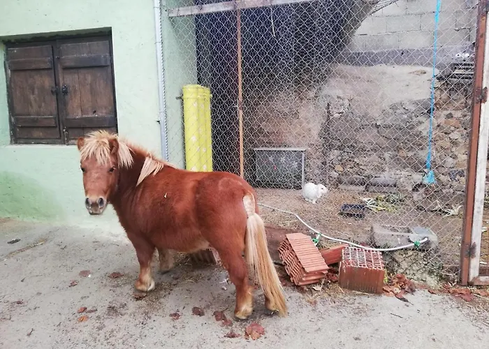 El Castillo De Celia * Cubla